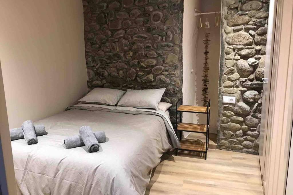 Puigcerda Centro. Acogedor Apartament En El Pueblo ภายนอก รูปภาพ